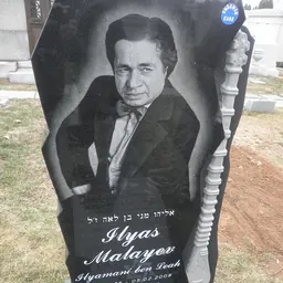 Portrait of Ilyas Malayev