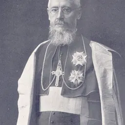 Portrait of Ferdinand Perier
