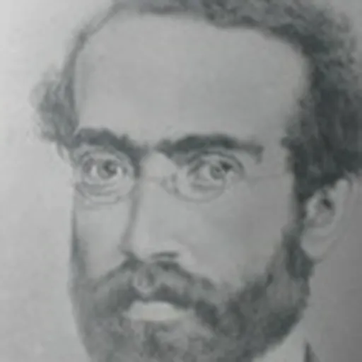 Portrait of Lafayette Rodrigues Pereira