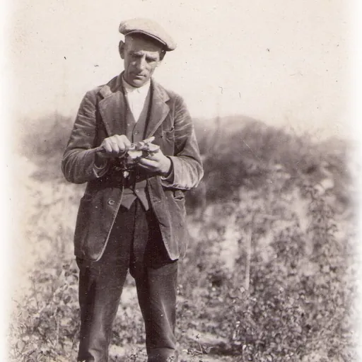 Portrait of Pedro Dot