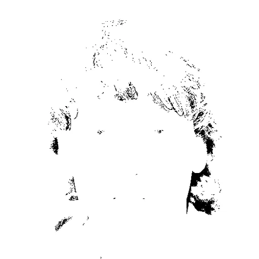 Portrait of Bas Westerweel