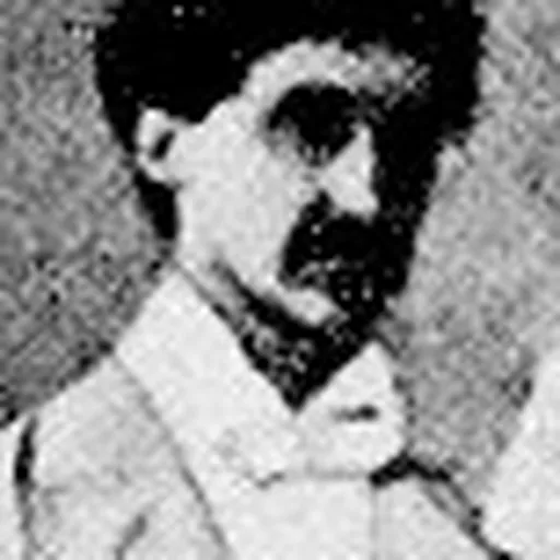 Portrait of Fred Gaisberg