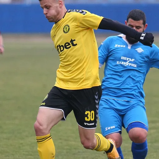 Portrait of Bozhidar Vasev