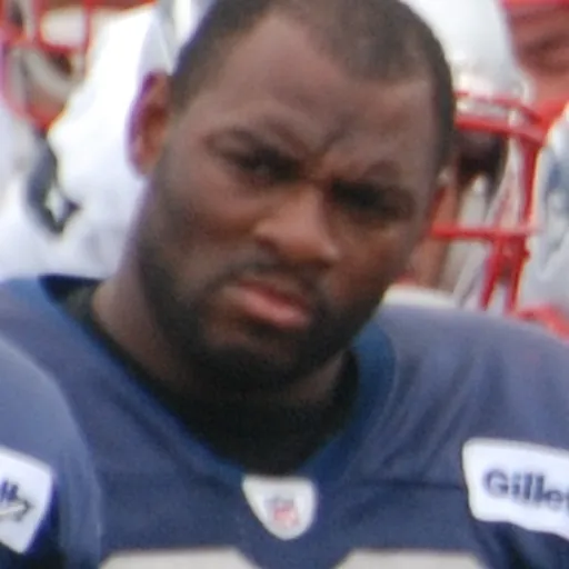 Portrait of Adalius Thomas