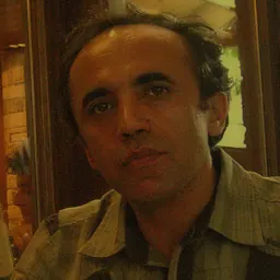 Portrait of Mehdi Bozorgmehr