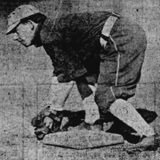 Portrait of Ed Mensor