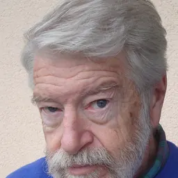 Portrait of Eugen Mihăescu