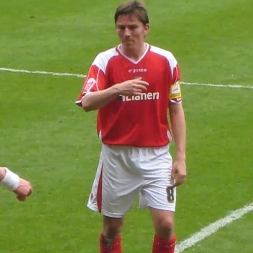 Portrait of Matt Holland