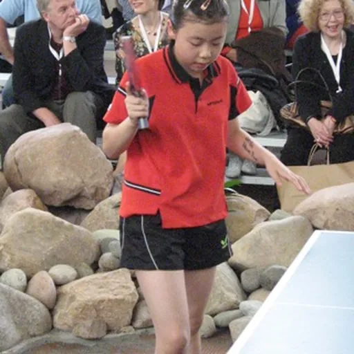 Portrait of Ariel Hsing