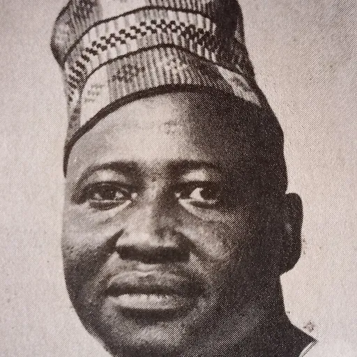 Portrait of Zanna Bukar Dipcharima
