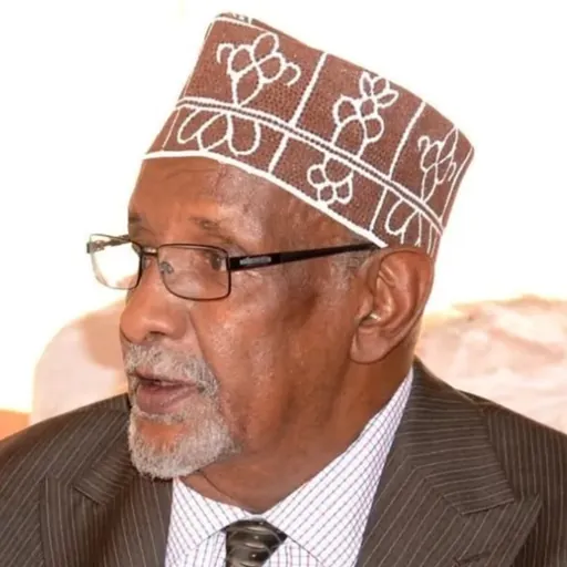 Portrait of Hassan Haji Mohamoud