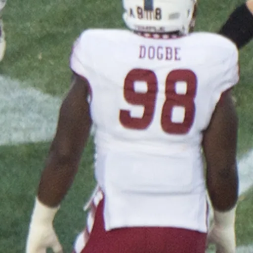 Portrait of Michael Dogbe