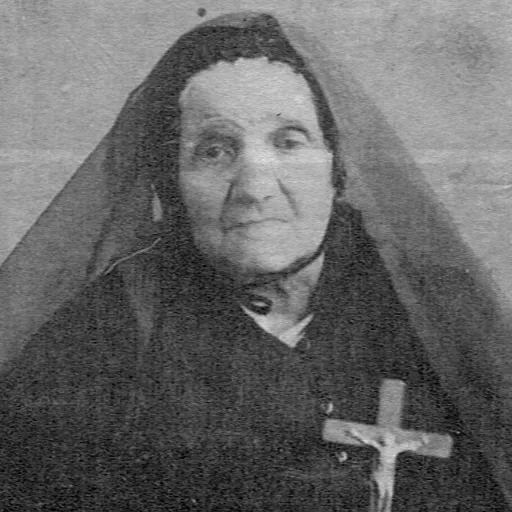 Portrait of Anna Maria Adorni