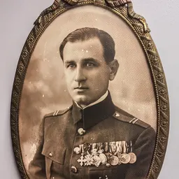 Portrait of Nicolae Costescu