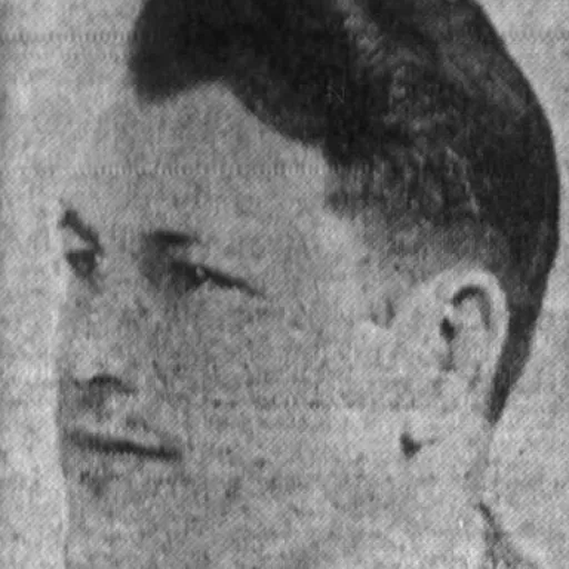 Portrait of Walter Zagurski
