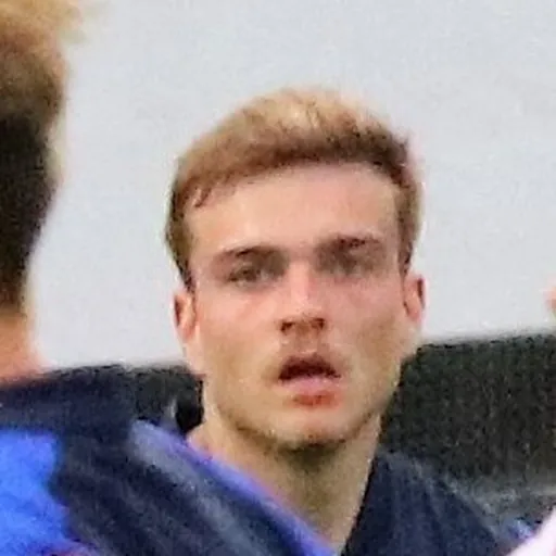 Portrait of Daniel Håkans