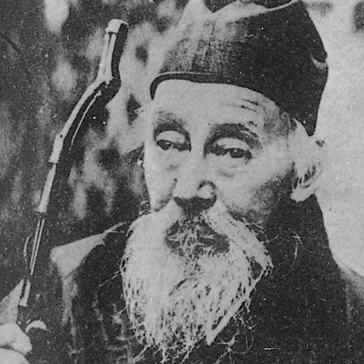Portrait of Tomioka Tessai