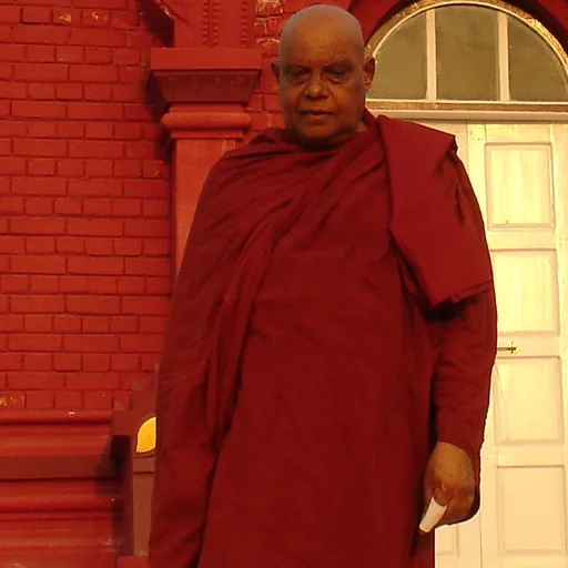 Portrait of Ariyadhamma