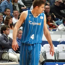 Portrait of Milenko Tepić