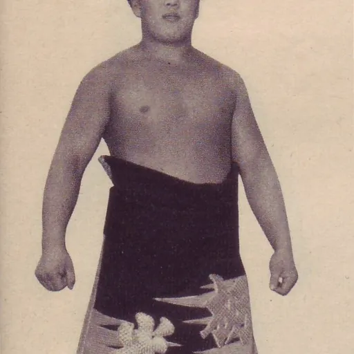 Portrait of Tochihikari Masayuki