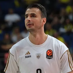 Portrait of Nemanja Dangubić