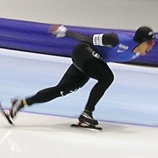 Portrait of Choi Jae-bong