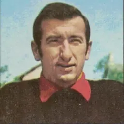 Portrait of Mario Da Pozzo