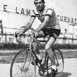 Portrait of Gilberto Vendemiati