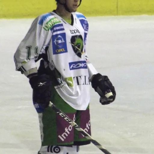 Portrait of Žiga Pance
