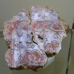 Portrait of Tukulti-Ninurta I