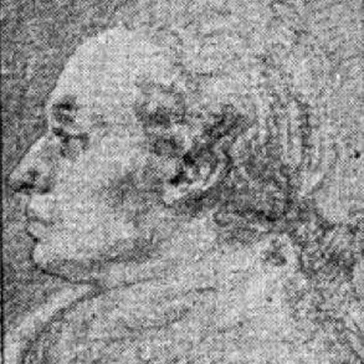 Portrait of Adolph Modéer