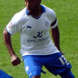 Portrait of Darius Vassell