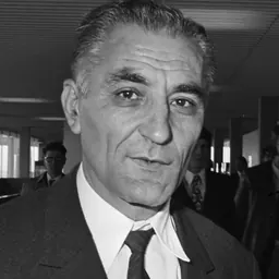 Portrait of Rajko Mitić