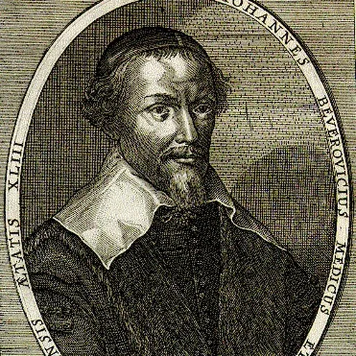 Portrait of Johan van Beverwijck