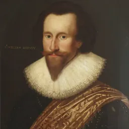 Portrait of William Hervey