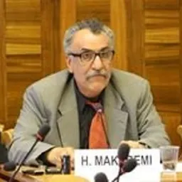 Portrait of Hassan Makaremi
