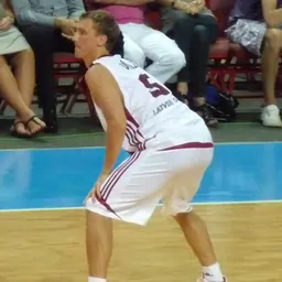 Portrait of Aigars Vītols