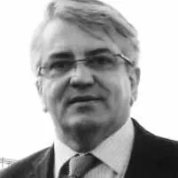 Portrait of Emmanuel Desurvire