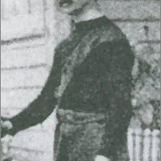 Portrait of George Stuckey