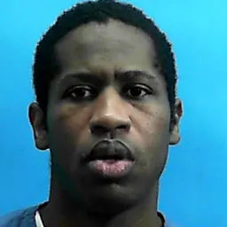 Portrait of Seminole Heights serial killer