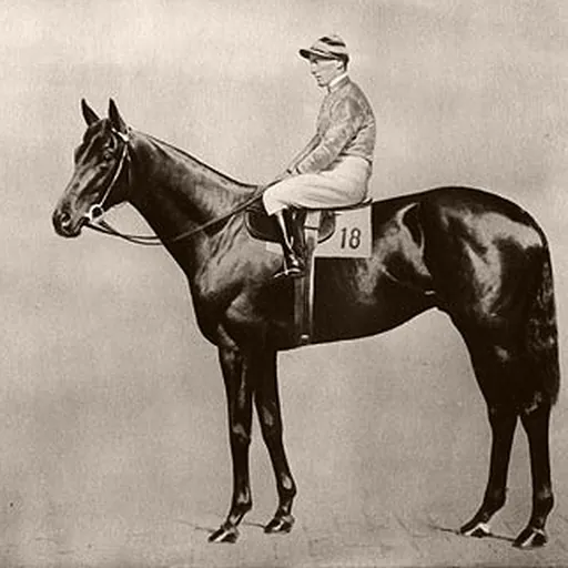 Portrait of Steve Donoghue