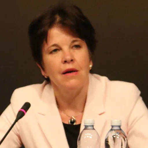 Portrait of Teija Tiilikainen