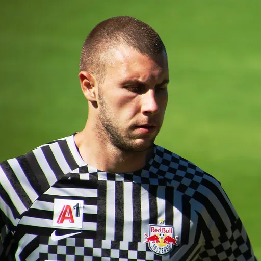 Portrait of Strahinja Pavlović