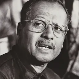 Portrait of Roy DeCarava