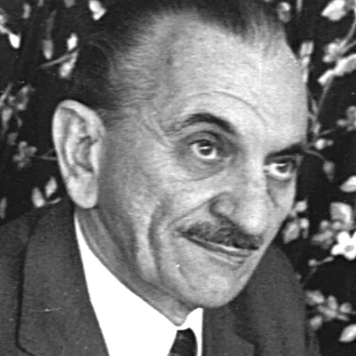 Portrait of Lavoisier Maia Sobrinho