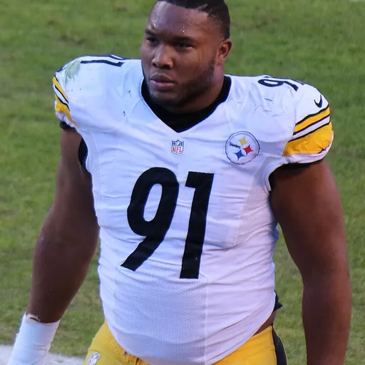 Portrait of Stephon Tuitt