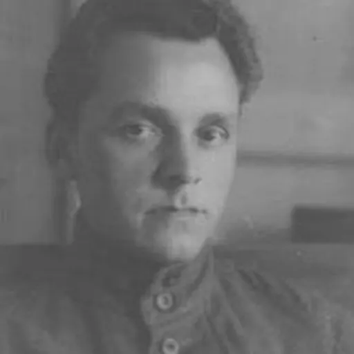 Portrait of Dmitry Furmanov