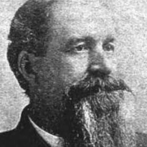 Portrait of William Johnson Stone