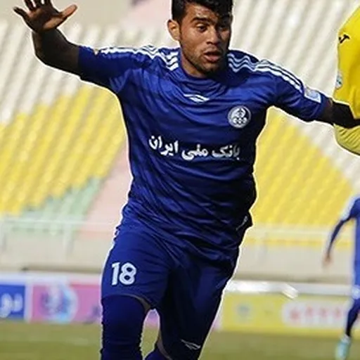 Portrait of Mehdi Zobeydi