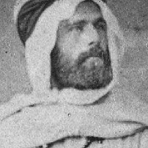 Portrait of Alfred Louis Delattre